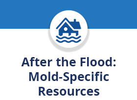 After the Flood: Mold Specific Resources