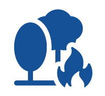 wildfire icon