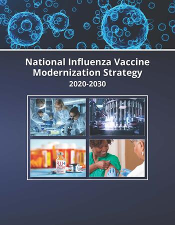 NIVMS Modernization Strategy Report Cover